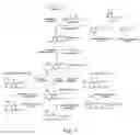 Fig. 02 - Genes and proteins for aromatic polyketide synthesis