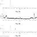 Fig. 03 - Genes and proteins for aromatic polyketide synthesis