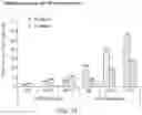 Fig. 22 - Microorganisms and Methods in the Fermentation of Benzylisoquinoline Alkaloids