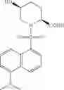 Fig. 40 - Engineered proline hydroxylase polypeptides and methods