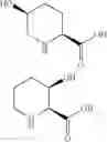 Fig. 44 - Engineered proline hydroxylase polypeptides and methods