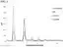 Fig. 04 - Methods for the Enzymatic Modification of Steviol Glycosides, Modified Steviol Glycosides Obtainable Thereby, and the Use Thereof as Sweeteners