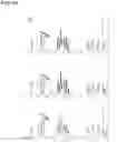 Fig. 07 - Methods for the Enzymatic Modification of Steviol Glycosides, Modified Steviol Glycosides Obtainable Thereby, and the Use Thereof as Sweeteners