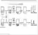 Fig. 01 - NUCLEIC ACID QUANTIFICATION METHOD USING STABLE ISOTOPE-LABELLED NUCLEIC ACID AS INTERNAL STANDARD AND USE OF THE SAME
