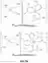Fig. 07 - Capturing, concentrating, and detecting microbes in a sample using magnetic ionic liquids and recombinase polymerase amplification