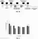 Fig. 08 - Capturing, concentrating, and detecting microbes in a sample using magnetic ionic liquids and recombinase polymerase amplification