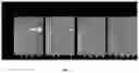 Fig. 03 - RNA identity method using RNAse H digestion and size fractionating