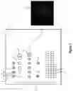 Fig. 02 - Assays for single molecule detection and use thereof