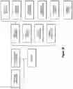 Fig. 19 - Assays for single molecule detection and use thereof