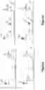 Fig. 20 - Assays for single molecule detection and use thereof