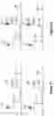 Fig. 25 - Assays for single molecule detection and use thereof