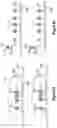 Fig. 27 - Assays for single molecule detection and use thereof