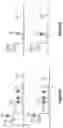 Fig. 30 - Assays for single molecule detection and use thereof