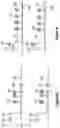 Fig. 32 - Assays for single molecule detection and use thereof