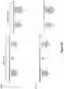 Fig. 37 - Assays for single molecule detection and use thereof