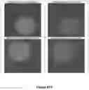 Fig. 44 - Assays for single molecule detection and use thereof
