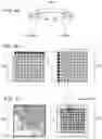 Fig. 05 - Spatially encoded biological assays