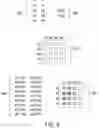 Fig. 06 - Spatially encoded biological assays