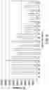 Fig. 10 - POLYA TAIL LENGTH ANALYSIS OF RNA BY MASS SPECTROMETRY