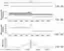 Fig. 13 - Mapping the location, type and strand of damaged and/or mismatched nucleotides in double-stranded DNA