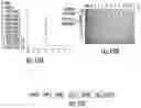 Fig. 12 - Alpha-hemolysin variants