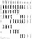 Fig. 02 - DNA MARKER KIT AND METHOD FOR PREPARING THE SAME