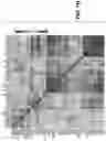Fig. 10 - Methods for diagnosing and treating inflammatory bowel disease