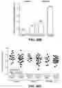 Fig. 46 - Methods for diagnosing and treating inflammatory bowel disease
