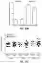 Fig. 52 - Methods for diagnosing and treating inflammatory bowel disease