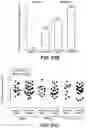 Fig. 55 - Methods for diagnosing and treating inflammatory bowel disease