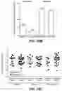 Fig. 58 - Methods for diagnosing and treating inflammatory bowel disease