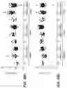 Fig. 70 - Methods for diagnosing and treating inflammatory bowel disease