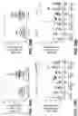 Fig. 75 - Methods for diagnosing and treating inflammatory bowel disease