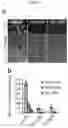 Fig. 08 - CANCER BIOMARKERS AND METHODS OF USE