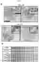Fig. 13 - CANCER BIOMARKERS AND METHODS OF USE