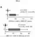 Fig. 19 - CANCER BIOMARKERS AND METHODS OF USE