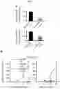Fig. 23 - CANCER BIOMARKERS AND METHODS OF USE