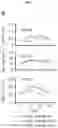 Fig. 27 - CANCER BIOMARKERS AND METHODS OF USE