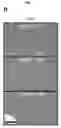 Fig. 28 - CANCER BIOMARKERS AND METHODS OF USE