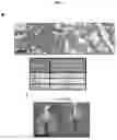Fig. 32 - CANCER BIOMARKERS AND METHODS OF USE