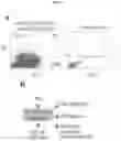 Fig. 35 - CANCER BIOMARKERS AND METHODS OF USE