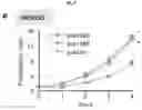 Fig. 41 - CANCER BIOMARKERS AND METHODS OF USE