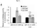 Fig. 49 - CANCER BIOMARKERS AND METHODS OF USE