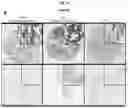 Fig. 55 - CANCER BIOMARKERS AND METHODS OF USE