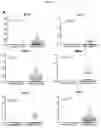 Fig. 59 - CANCER BIOMARKERS AND METHODS OF USE
