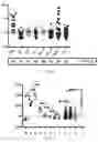 Fig. 06 - Prognosis method of multiple myeloma