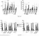 Fig. 09 - Prognosis method of multiple myeloma
