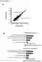 Fig. 02 - DIAGNOSTIC METHOD