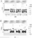 Fig. 20 - DIAGNOSTIC METHOD