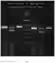 Fig. 02 - METHOD FOR IDENTIFYING STORABILITY OF APPLE FRUIT AND SPECIFIC PRIMER PAIR THEREOF